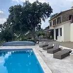 Les Mimosas