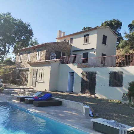 Les Mimosas * Bormes-les-Mimosas