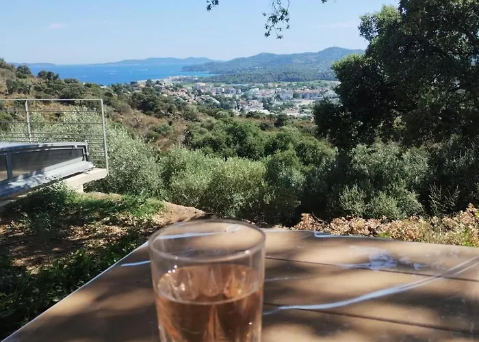 Les Mimosas Ferienhaus Bormes-les-Mimosas