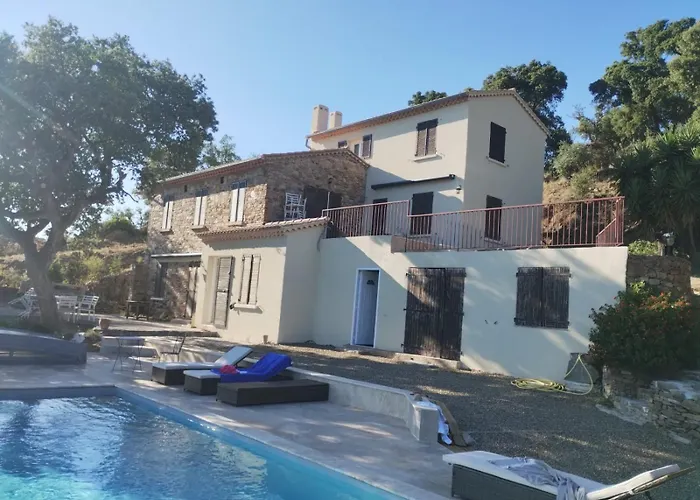 Les Mimosas * Bormes-les-Mimosas